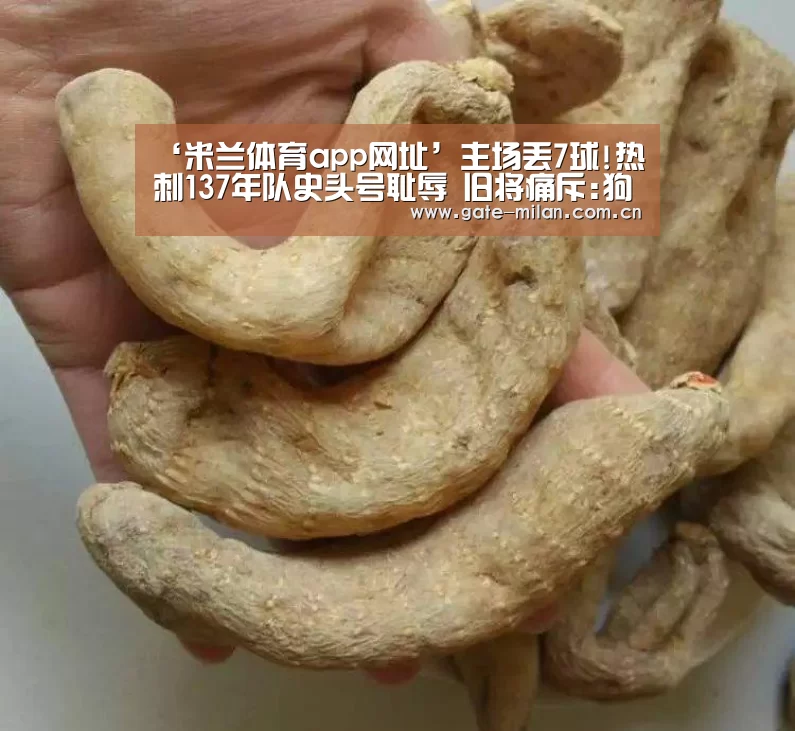 ‘米兰体育app网址’主场丢7球!热刺137年队史头号耻辱 旧将痛斥:狗屎(图2) 国际米兰