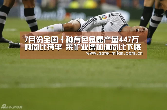 7月份全国十种有色金属产量447万吨同比持平 采矿业增加值同比下降1.3%“米兰体育app网址”(图2) 米兰体育官网登录