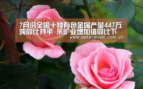 7月份全国十种有色金属产量447万吨同比持平 采矿业增加值同比下降1.3%“米兰体育app网址”(图4) 米兰体育app网址